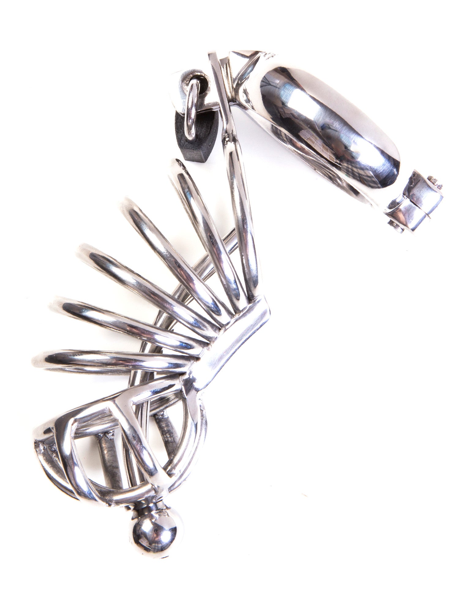 Asylum 6 Ring Locking Chastity Cage