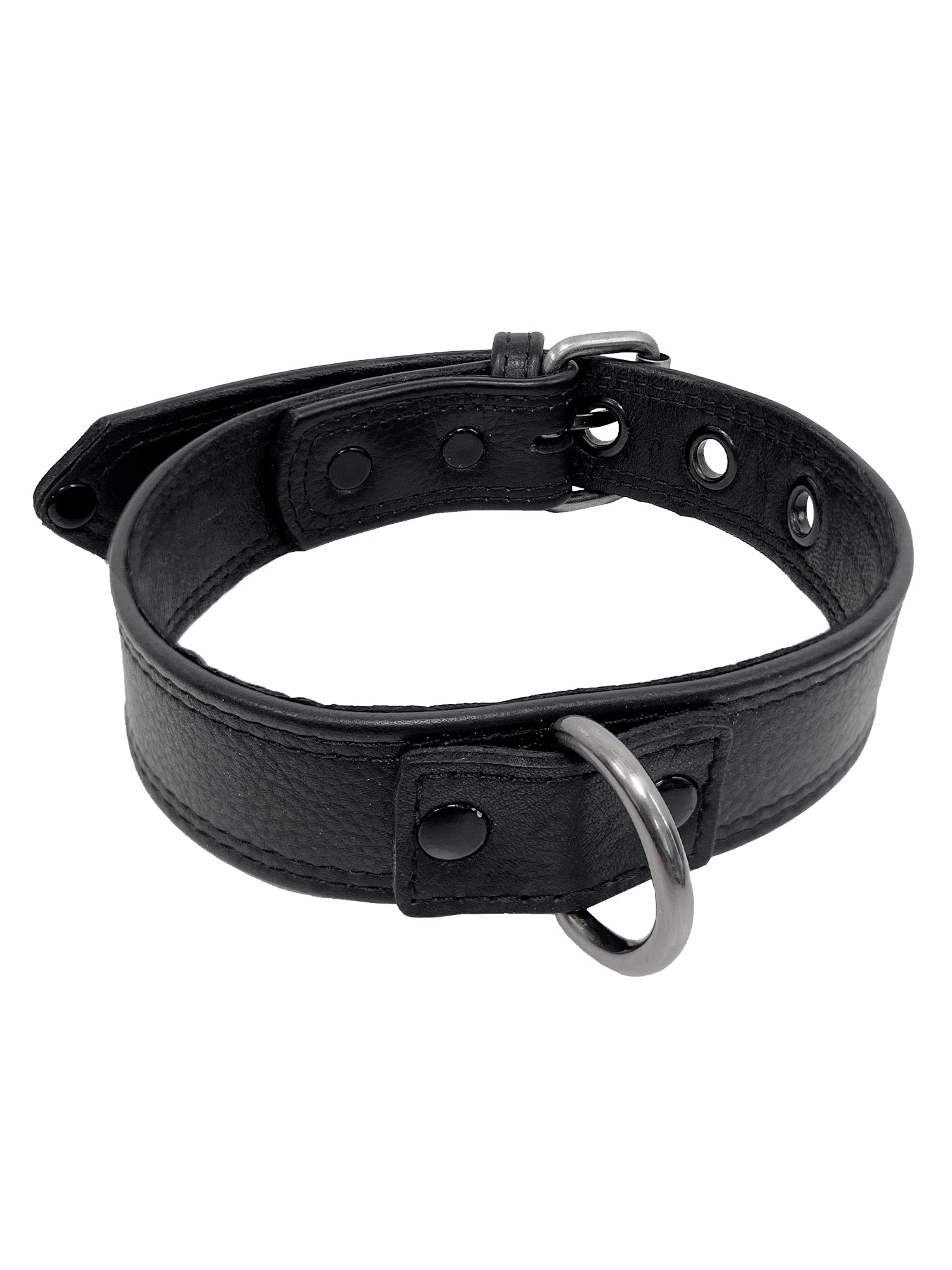Basic D Ring Collar